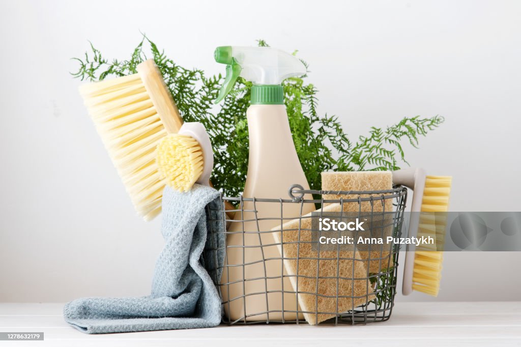 Wellness That Lasts: How Sustainable Living Nurtures Your Health