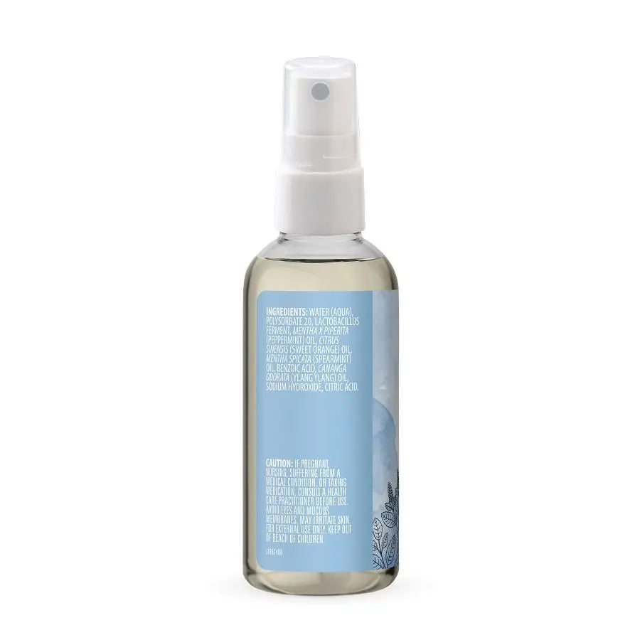 Peppermint Aromatherapy Mist 4 fl. oz.