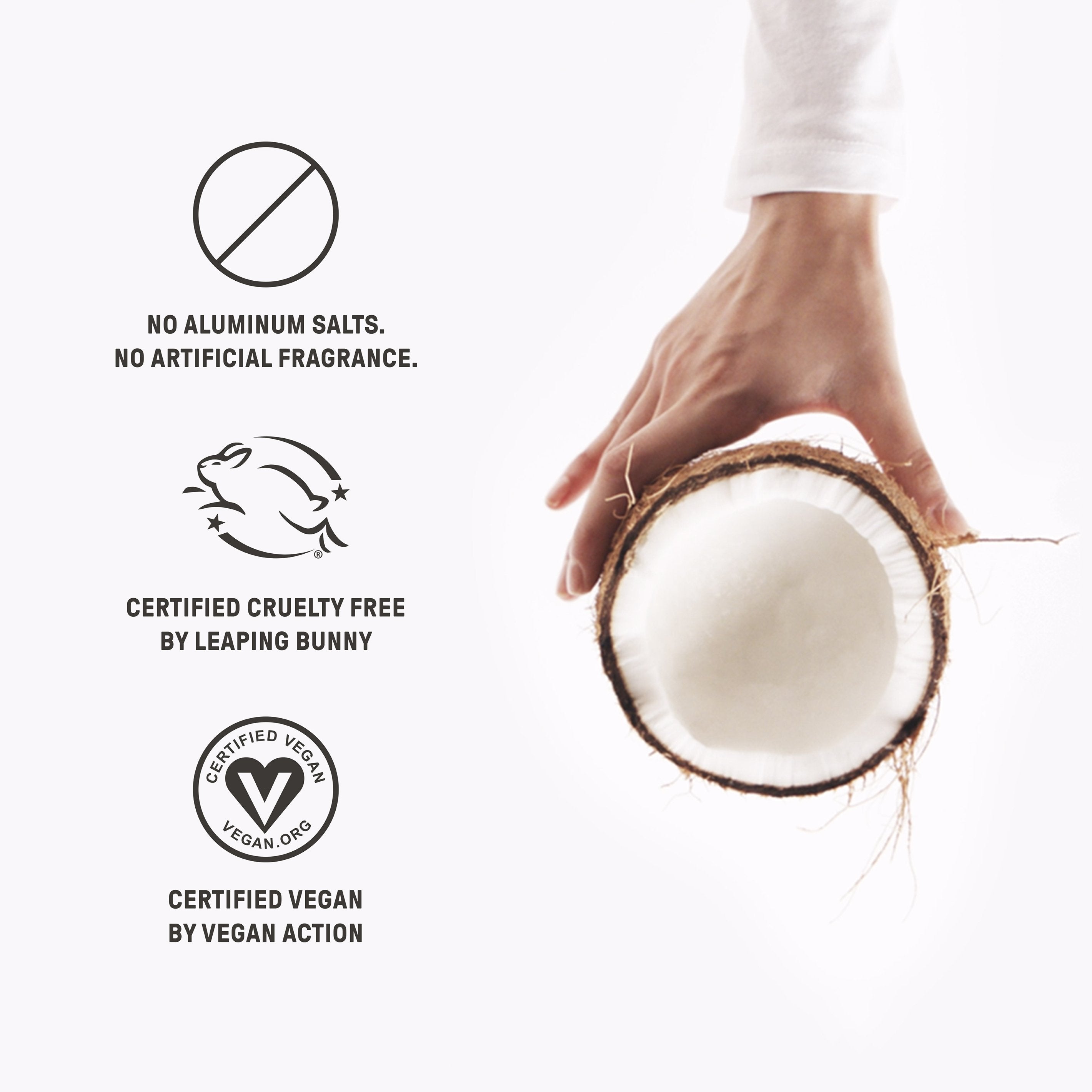 Schmidt's Fresh Fir & Spice Deodorant Stick