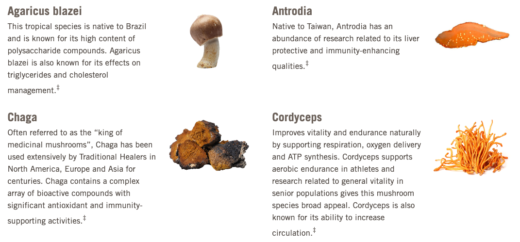 Om Master Blend Mushroom Capsules, 84 ct