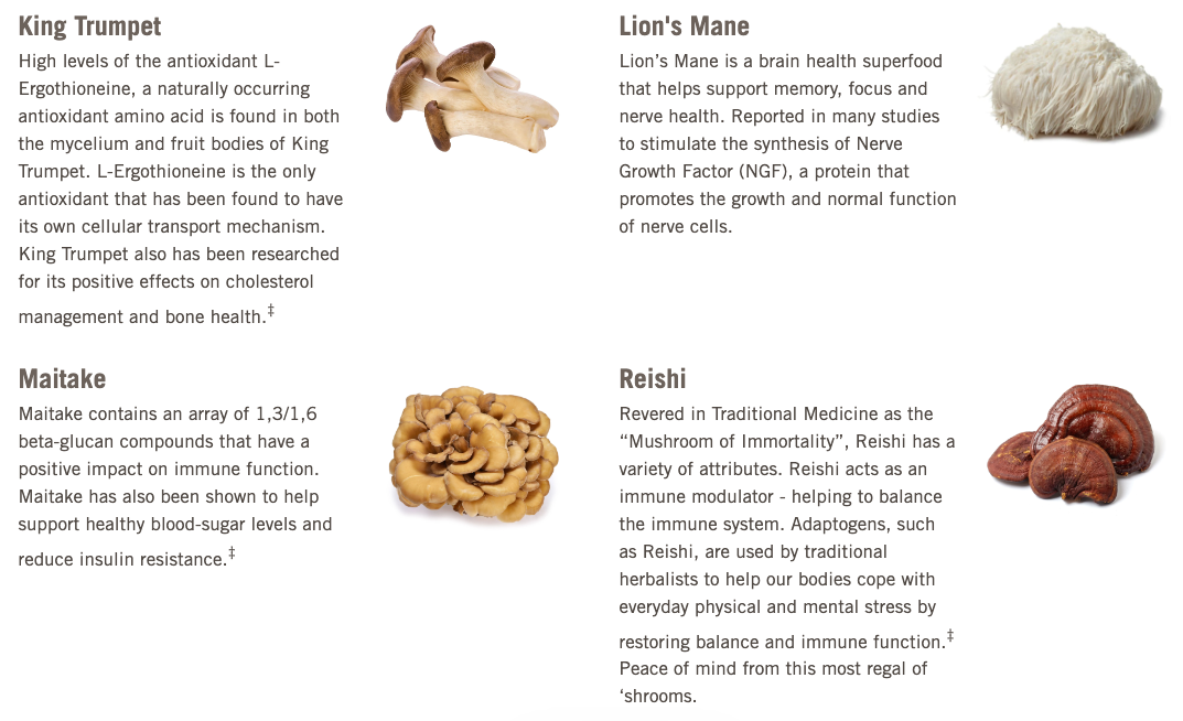 Om Master Blend Mushroom Capsules, 84 ct