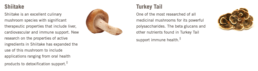 Om Master Blend Mushroom Capsules, 84 ct