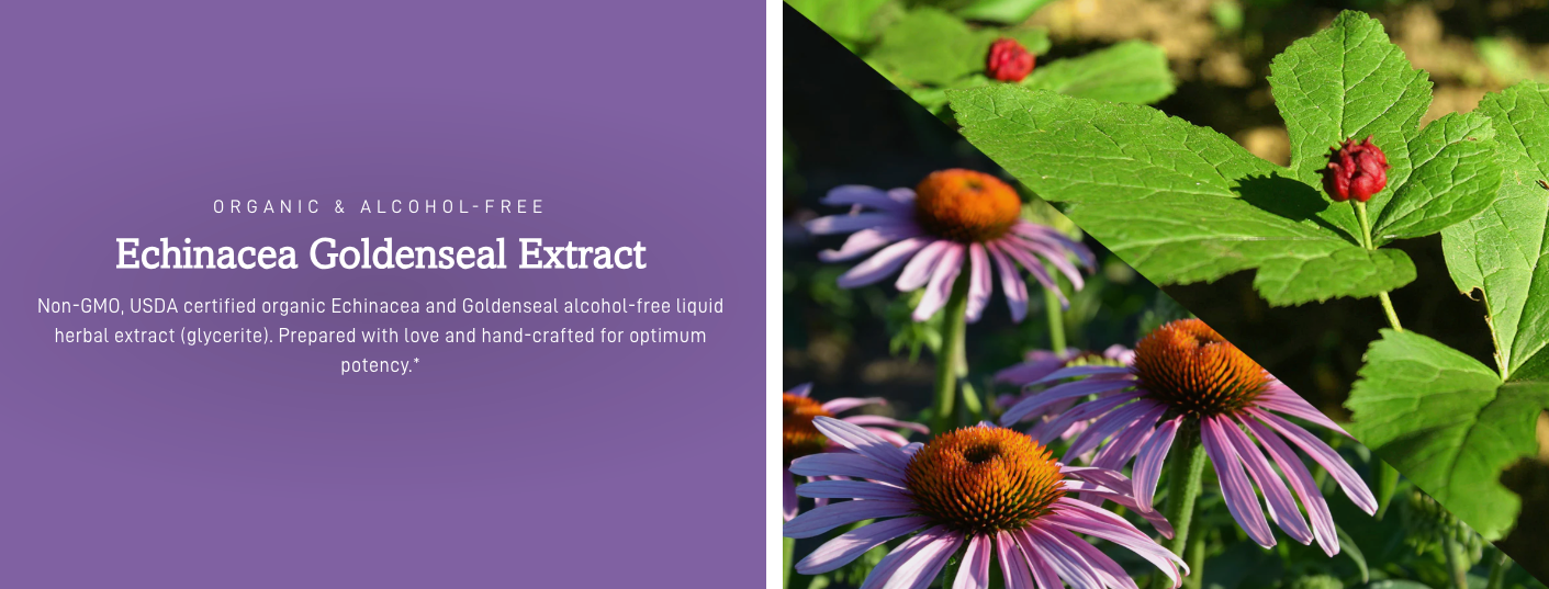 Oregon's Wild Harvest Organic Echinacea Goldenseal, 1 oz