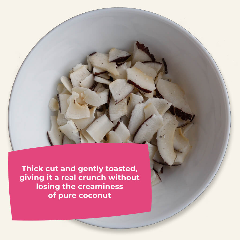 Tasting Bundle - Organic Toasted Coconut Chips-2