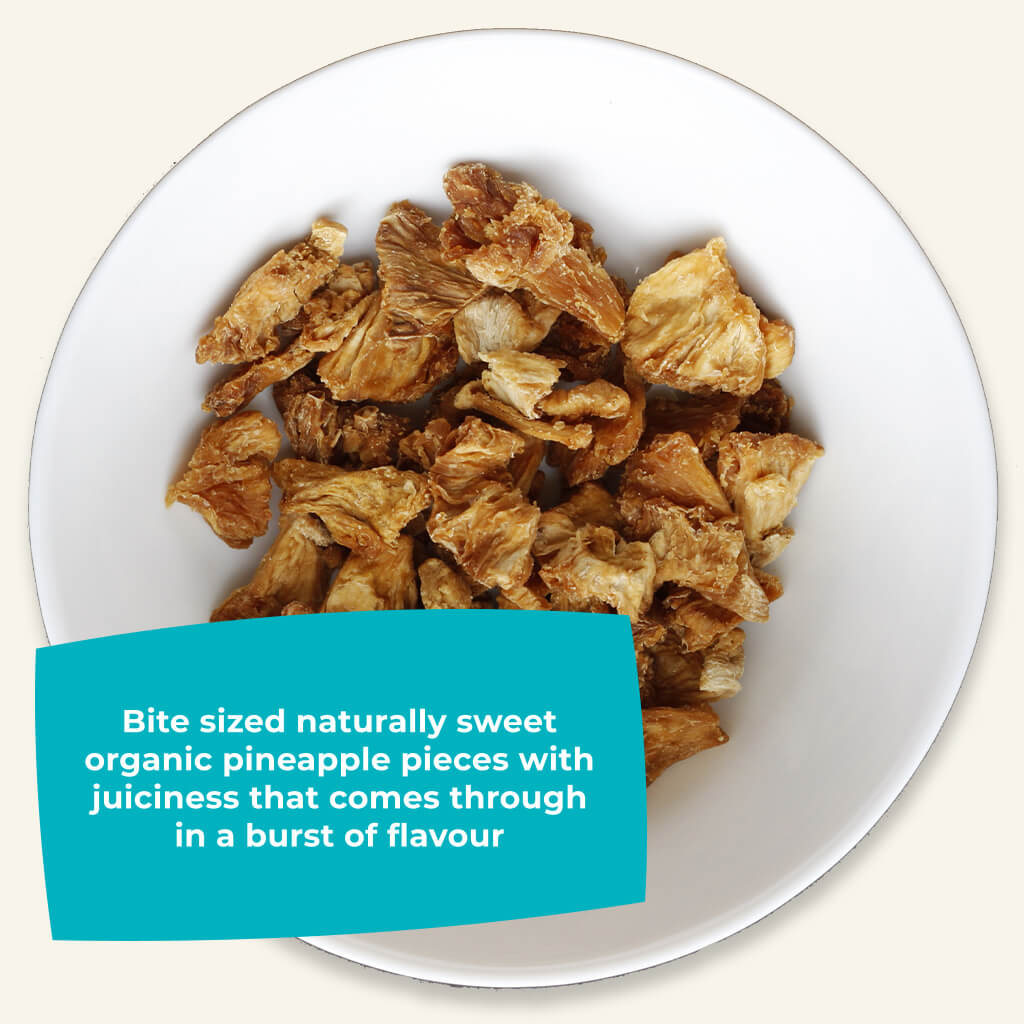 Tasting Bundle - Organic Dried Pineapple Chunks-2