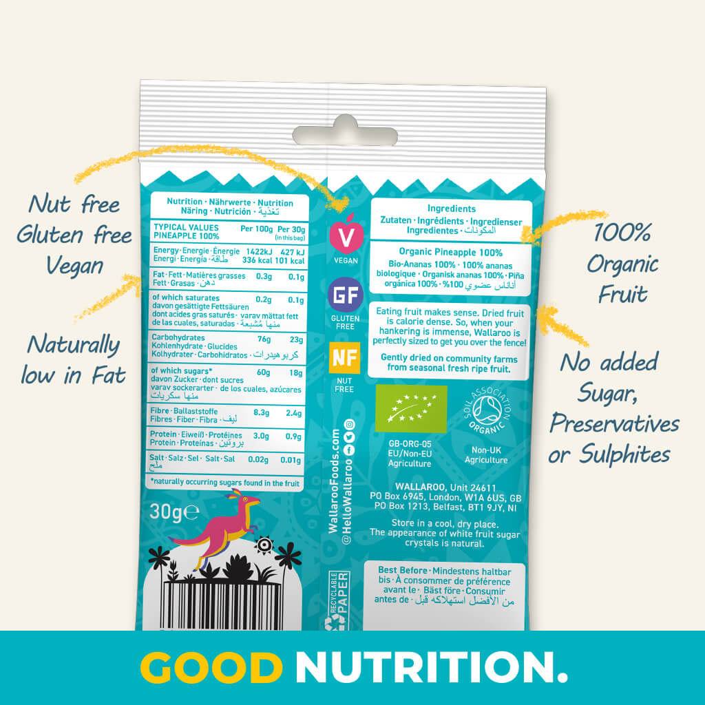 Organic Gently Dried Pineapple Chunks-2