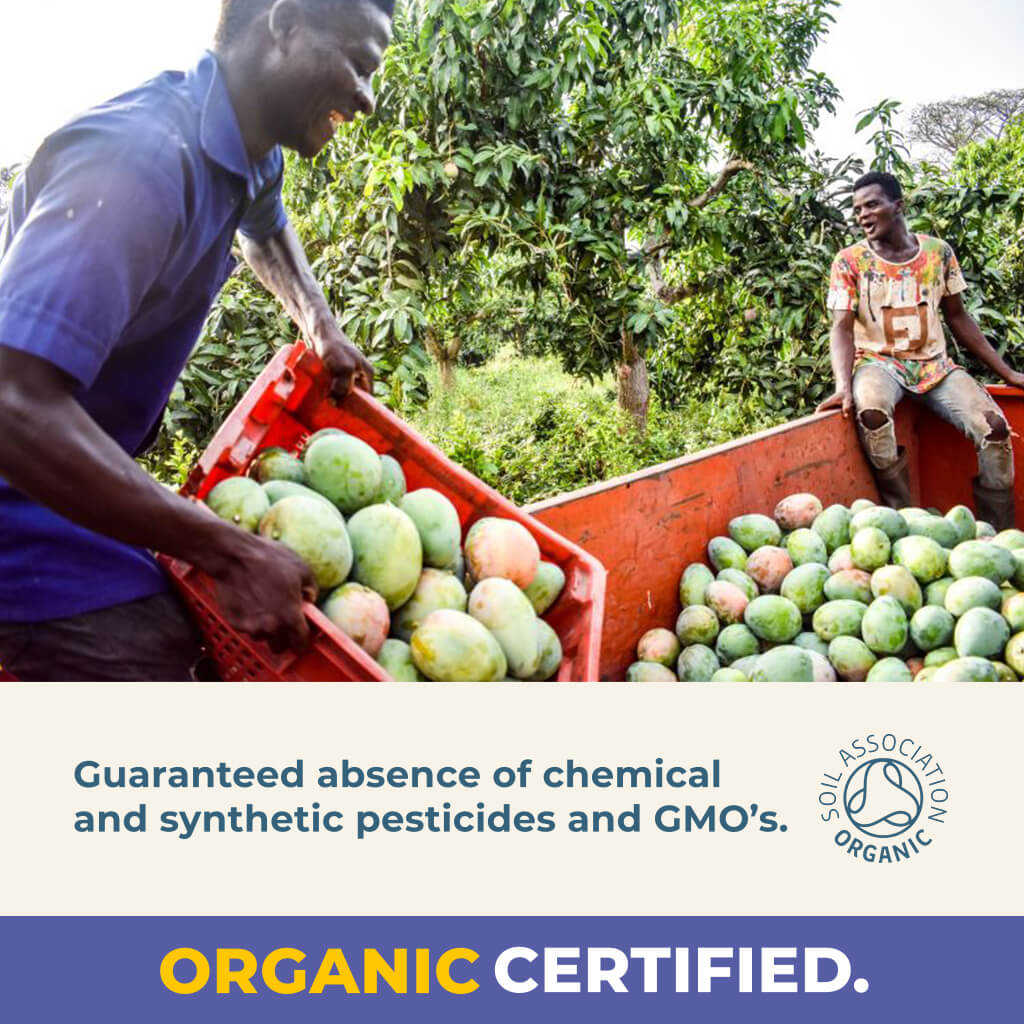 Organic Gently Dried Mango Slices-3