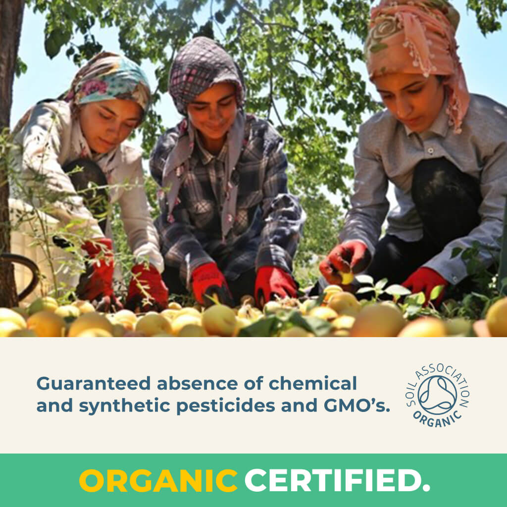 Organic Gently Dried Whole Apricots-3