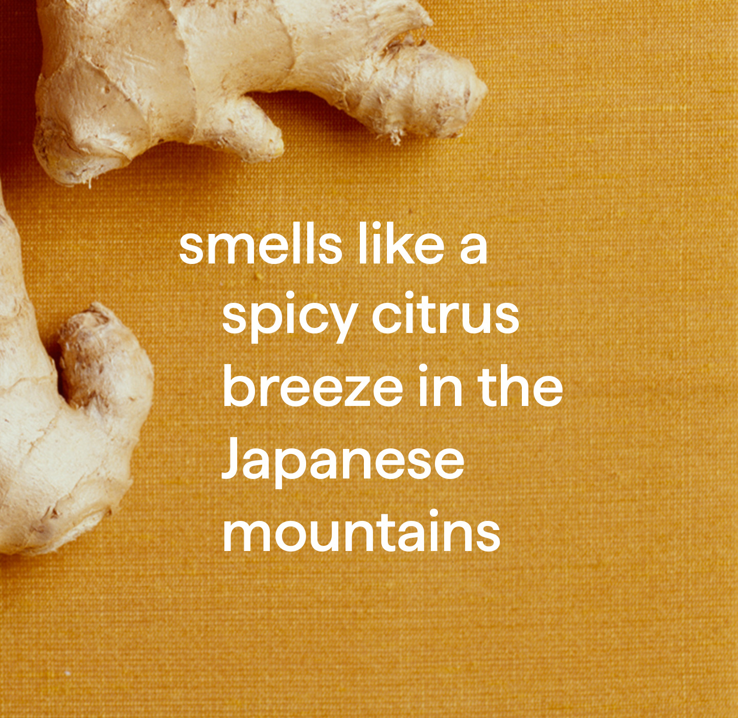 Method All Purpose Ginger Yuzu Cleaner (8x28 Oz)