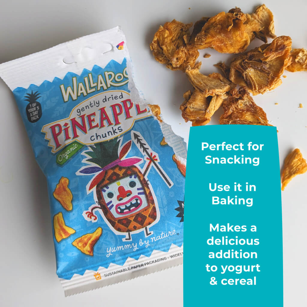 Tasting Bundle - Organic Dried Pineapple Chunks-4