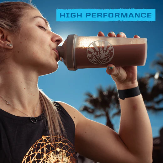 Sunwarrior Warrior Blend Organic Chocolate 375g