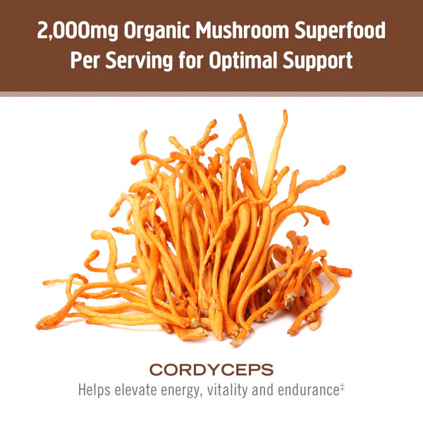Om Cordyceps Mushroom Capsules, 90 ct