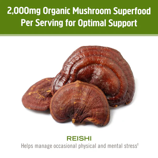 Om Reishi Mushroom Capsules, 90 ct