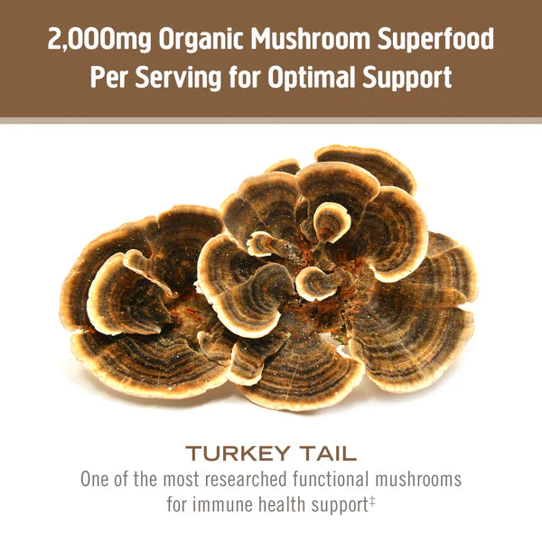 Om Turkey Tail Mushroom Capsules, 90 ct