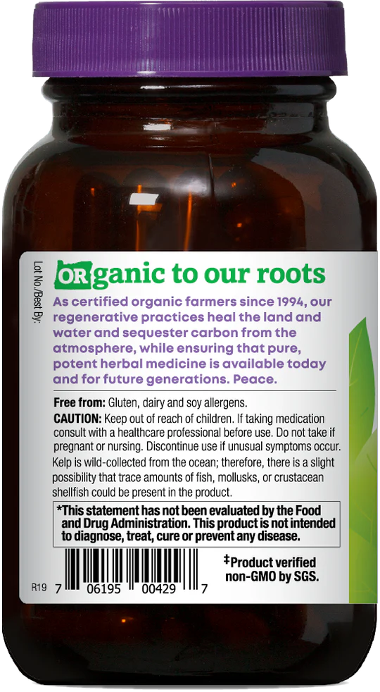 Oregon's Wild Harvest Organic Kelp, 90 ct