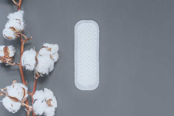 Natracare Panty Liners