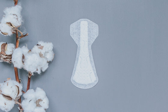 Natracare Tanga Panty Liners