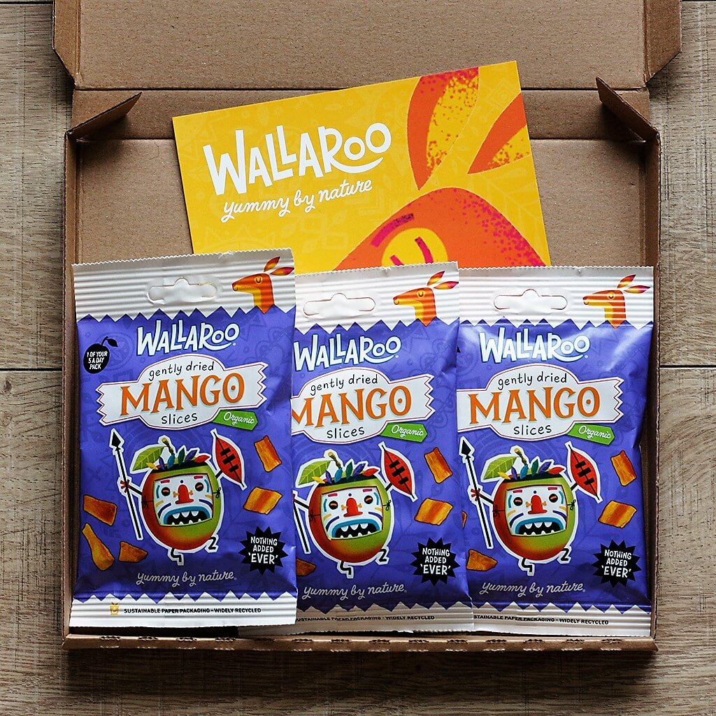 Tasting Bundle - Organic Dried Mango Slices-0