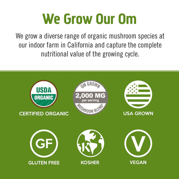 Om Mushroom Matcha Latte Blend Box of 10