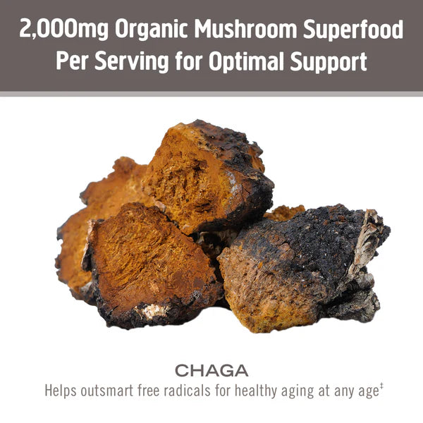 Om Chaga Organic Mushroom Powder 3.5 oz