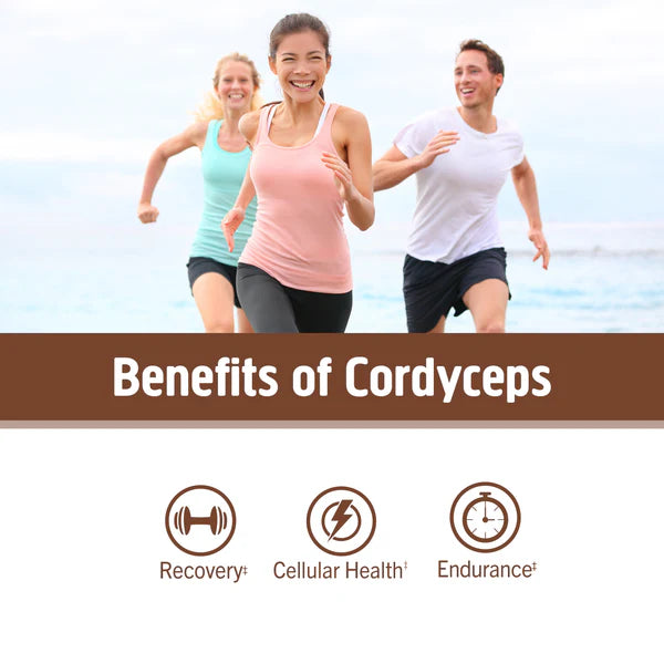 Om Cordyceps Mushroom Capsules, 90 ct