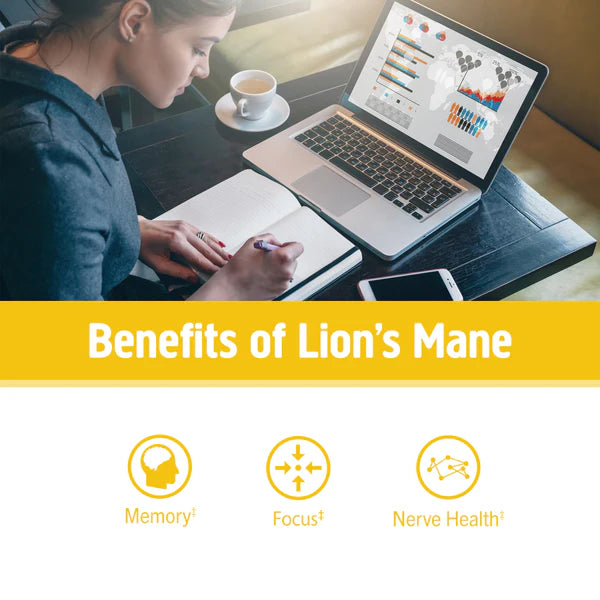Om Lion's Mane Mushroom Capsules, 180 ct