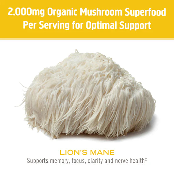 Om Lion's Mane Organic Mushroom Powder 3.5 oz