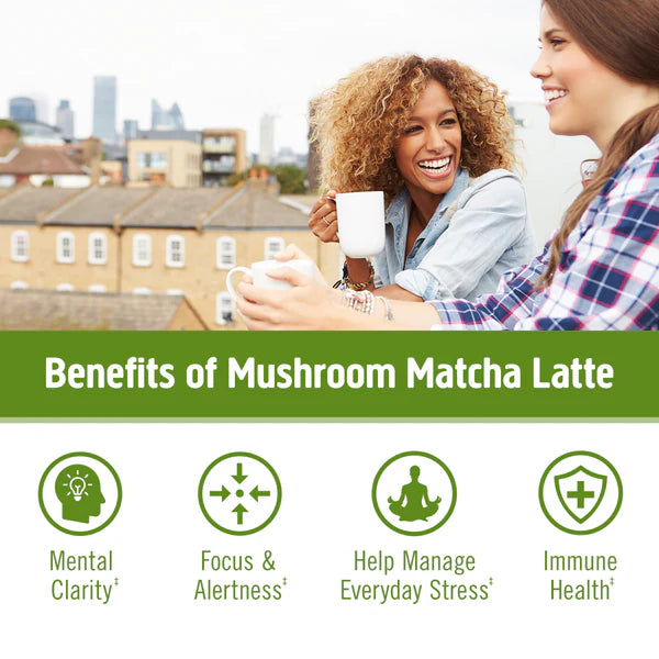 Om Mushroom Matcha Latte Blend Box of 10