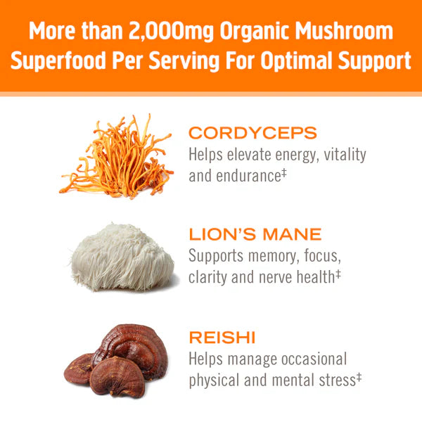 Om Energy+ Citrus Orange Mushroom Drink Mix, 10 ct