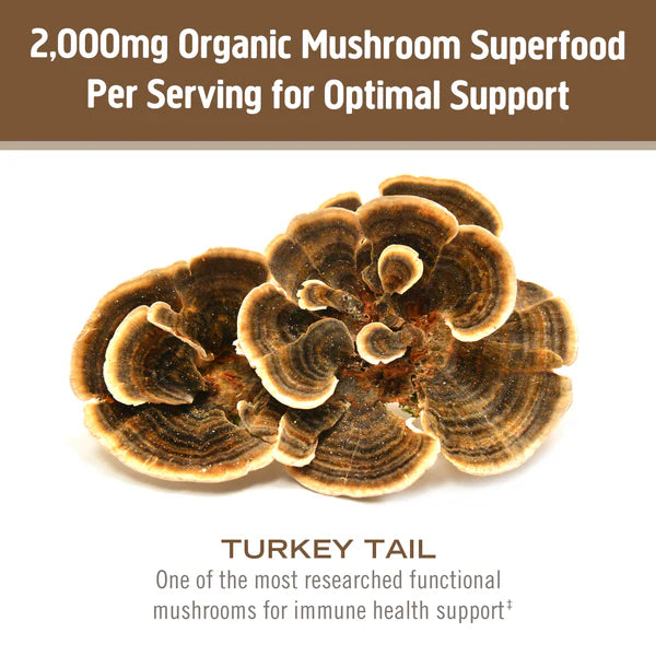 Om Turkey Tail Organic Mushroom Powder 3.5 oz