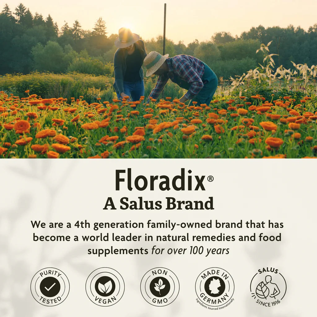 Floradix® Iron Tablets With B Vitamins