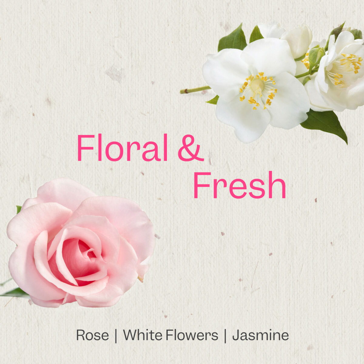 Renpure Rose Water Soften & Hydrate Conditioner 24oz