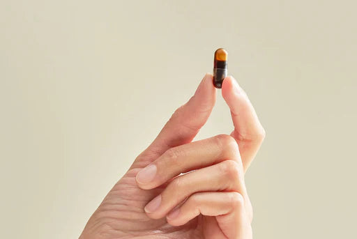 Gaia Herbs Ashwagandha Root, 120 ct