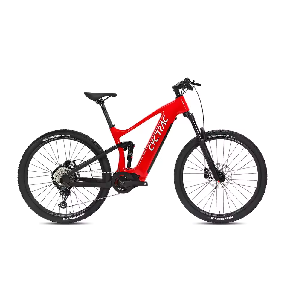 EM10 2025 - ELECTRIC CARBON BIKE-2