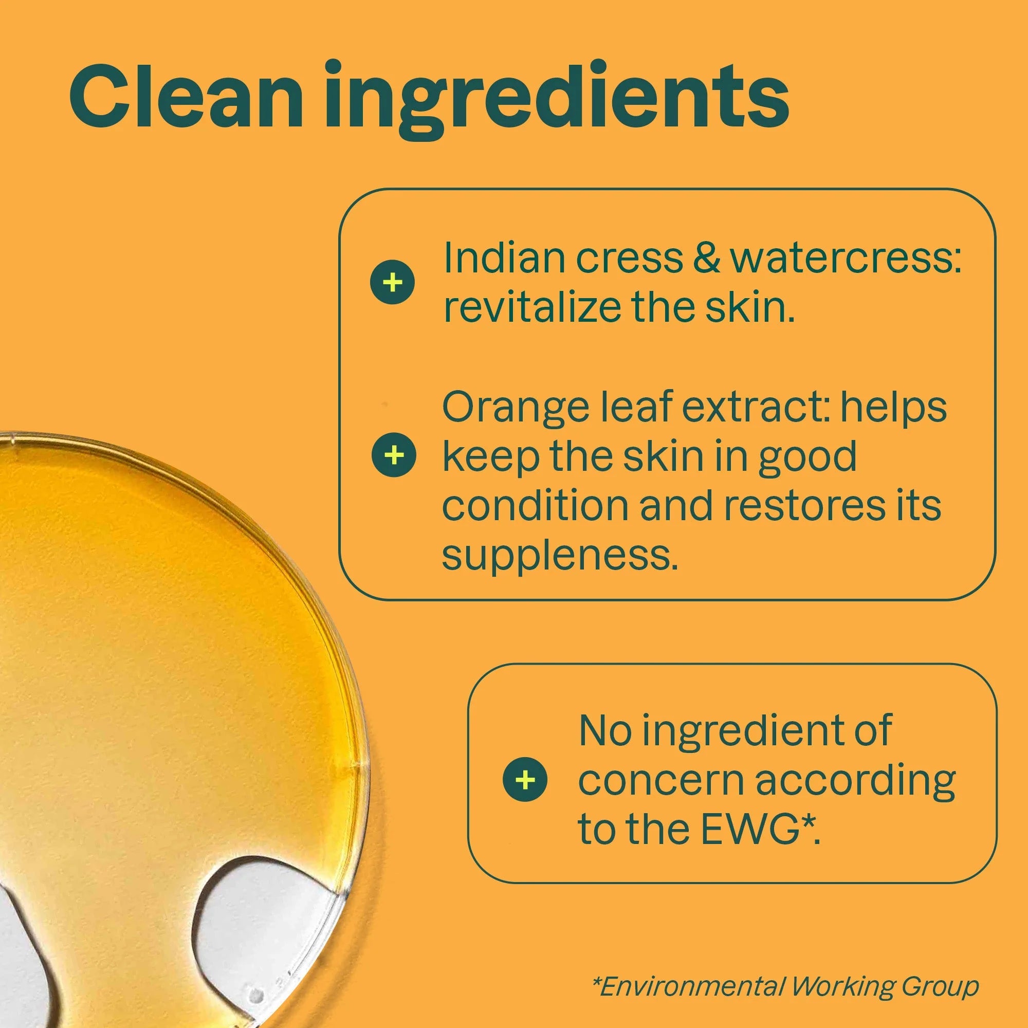 SUPER LEAVES„¢ Shower Gel Orange Leaves 16  FL OZ