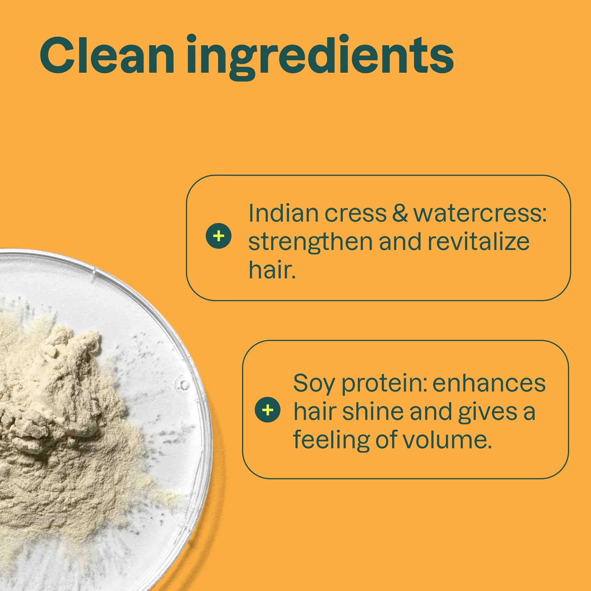 SUPER LEAVES„¢ Volume & Shine Shampoo Soy Protein and Cranberries 16 FL OZ