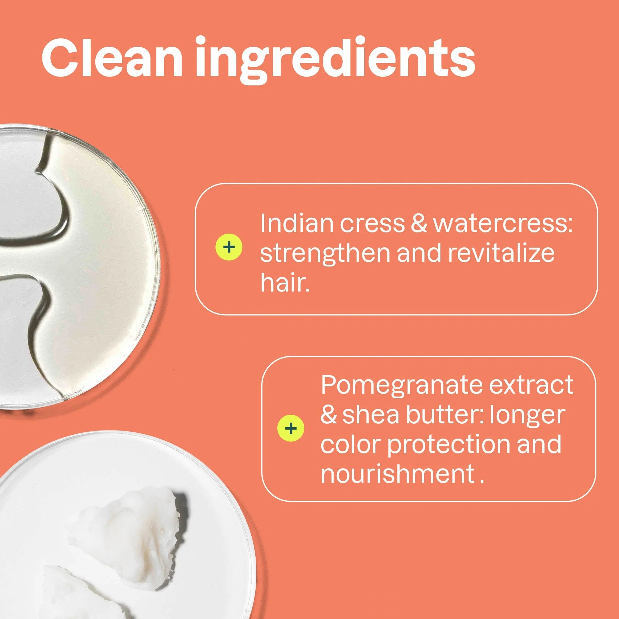 Attitude SUPER LEAVES„¢ Colorlast conditioner Avocado oil and pomegranate | 8 FL. OZ.( 1 X 8 OZ )