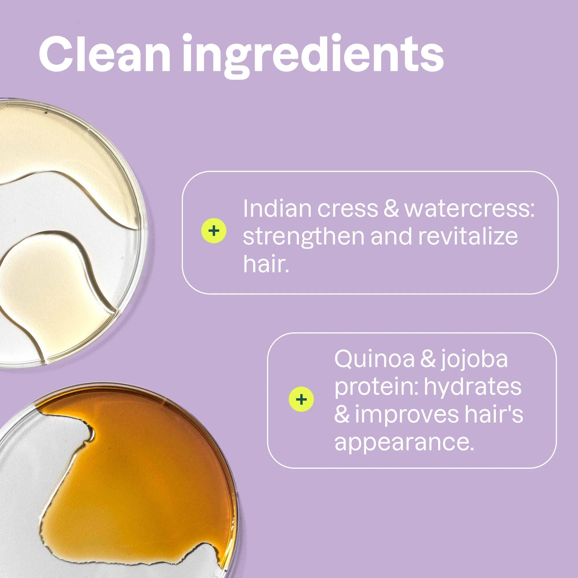 SUPER LEAVES„¢ Moisture Rich Conditioner Quinoa and Jojoba 8 FL OZ