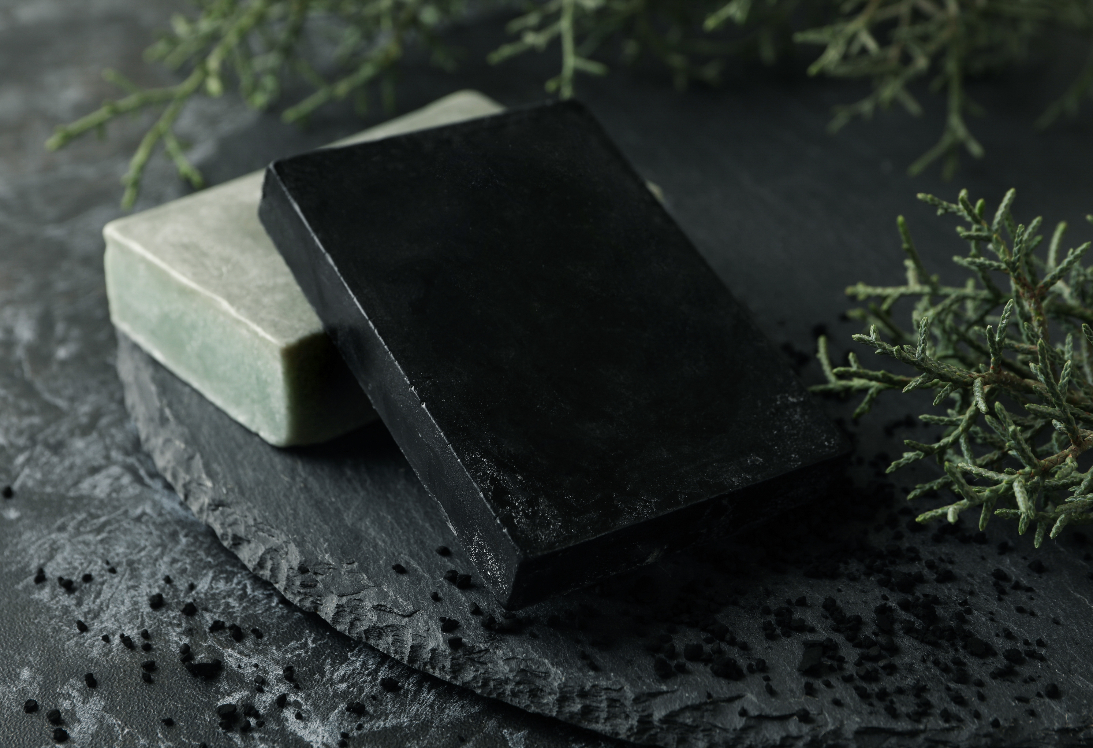 Onyx: Exfoliating Charcoal Soap-2