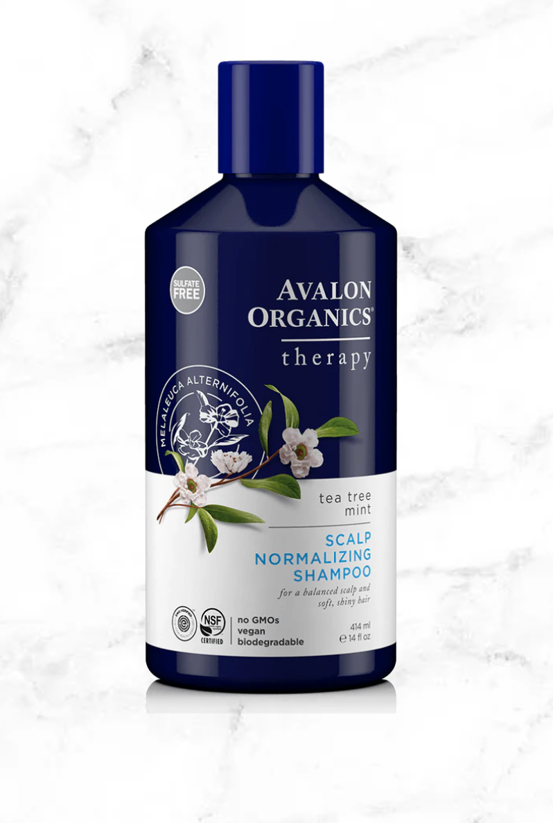 Scalp Normalizing Tea Tree Mint Shampoo 14 OZ