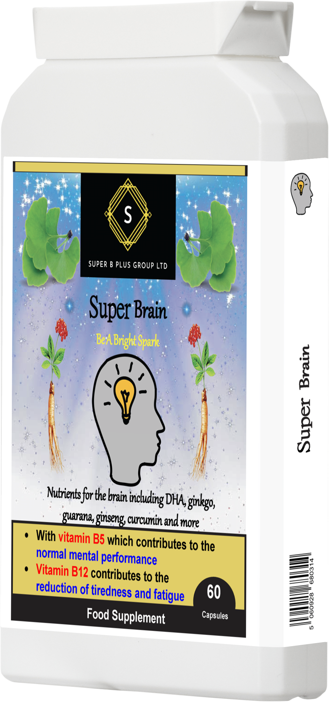 Super Brain-2