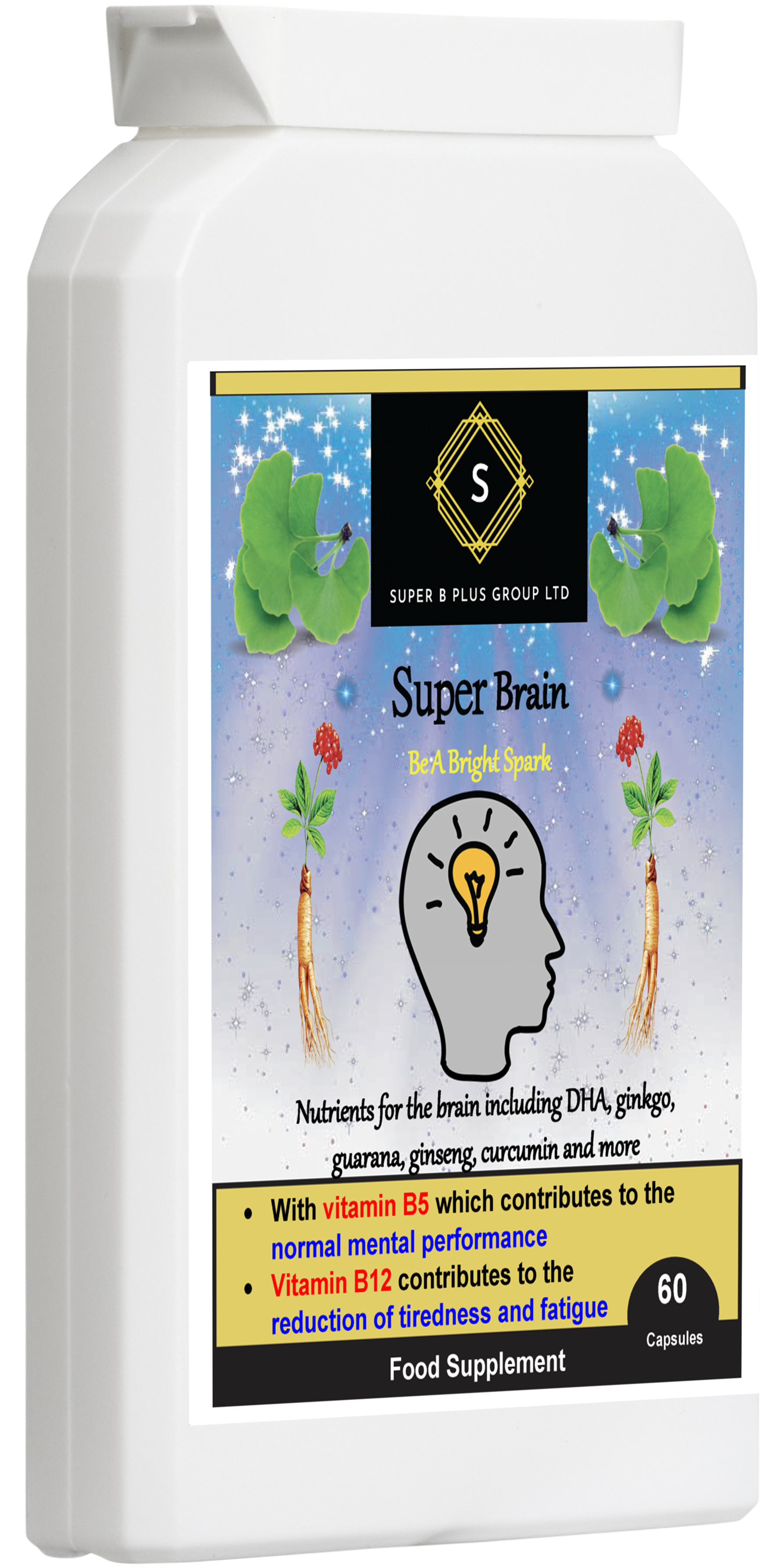 Super Brain-3