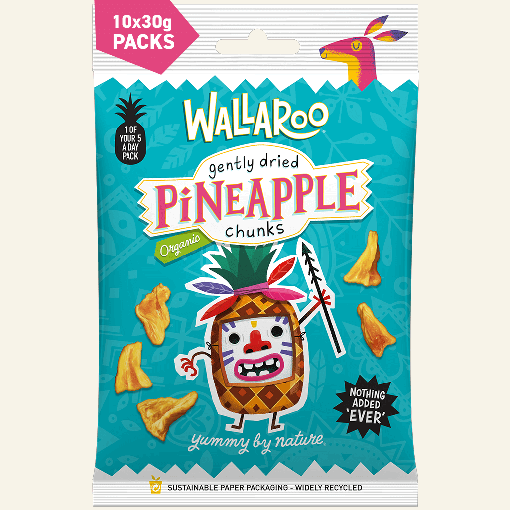 Organic Gently Dried Pineapple Chunks-0