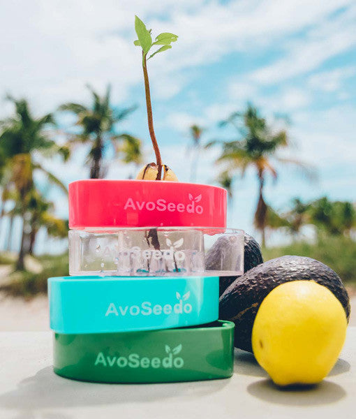 - AvoSeedo Plant Pot Set --4