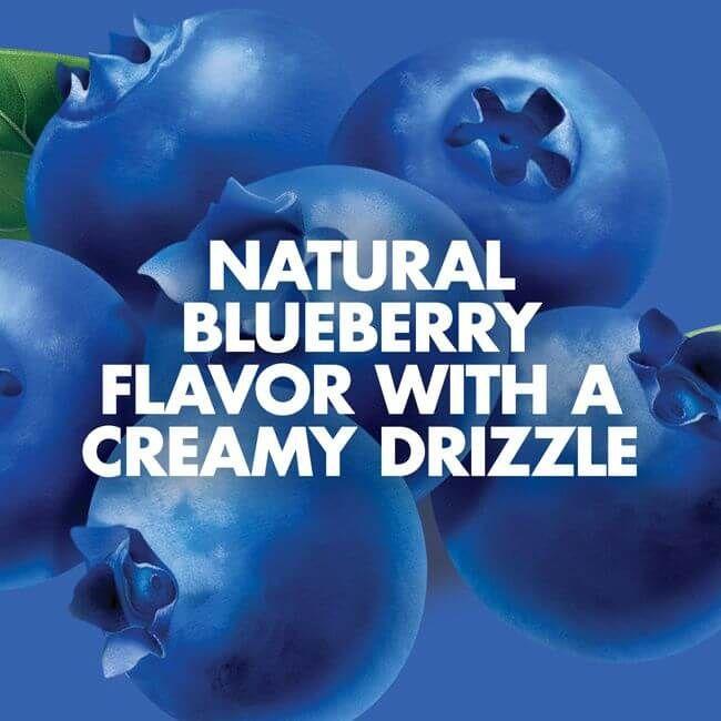 LUNA Bar Blueberry Bliss Flavor (15x1.69 Oz)