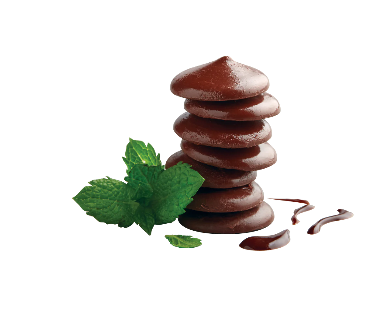 Zing Dark Chocolate Mint Nutrition Bars