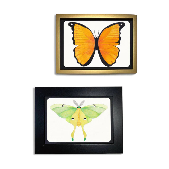 Coloring Postcards - Butterflies (30 postcards)