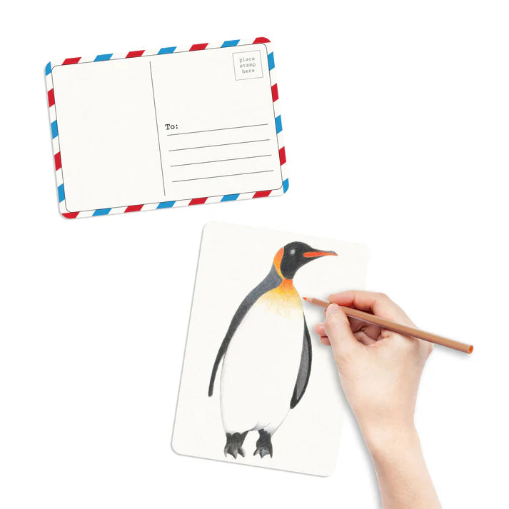 Coloring Postcards - Birds (30 postcards)