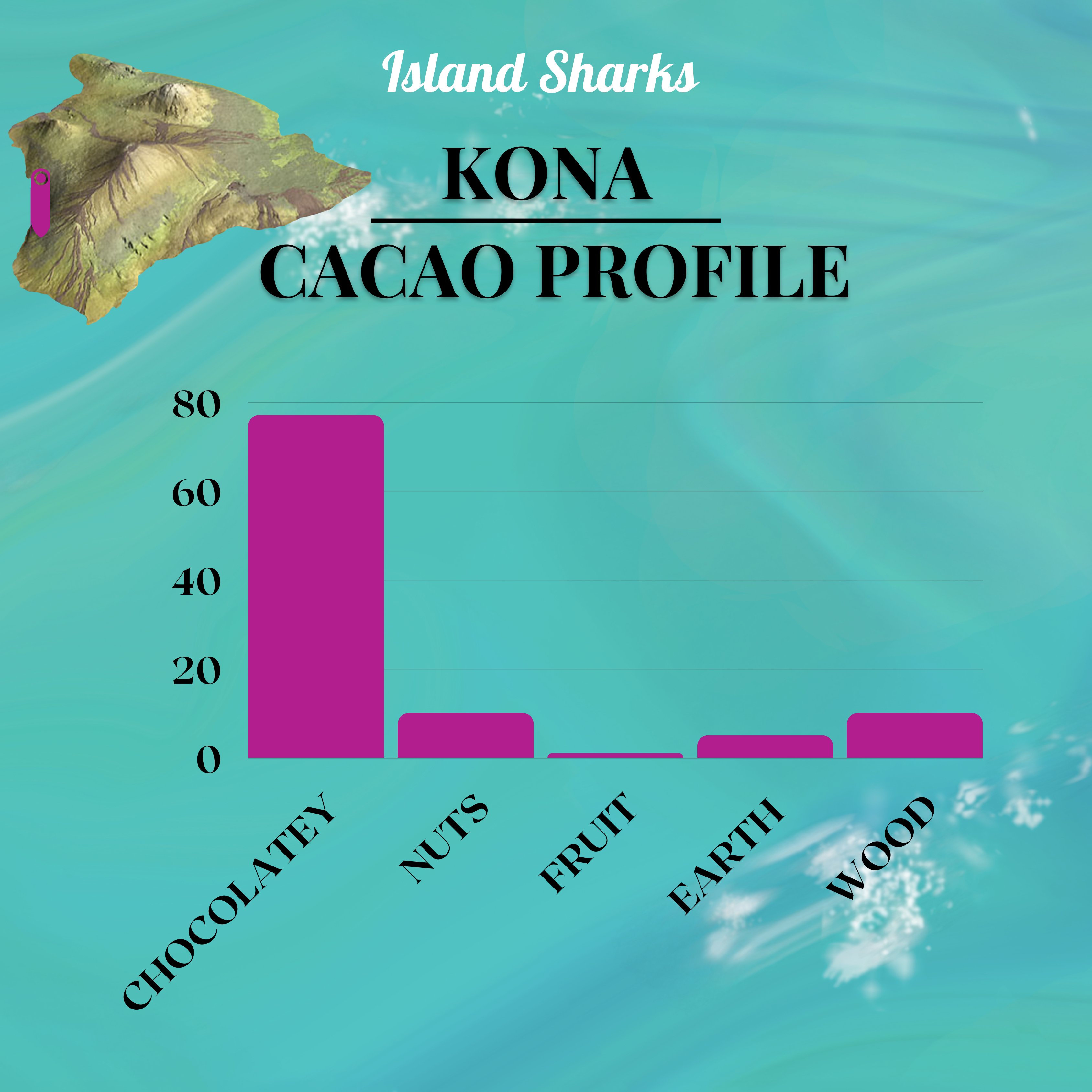 100% Hawaiian Ceremonial Cacao-11