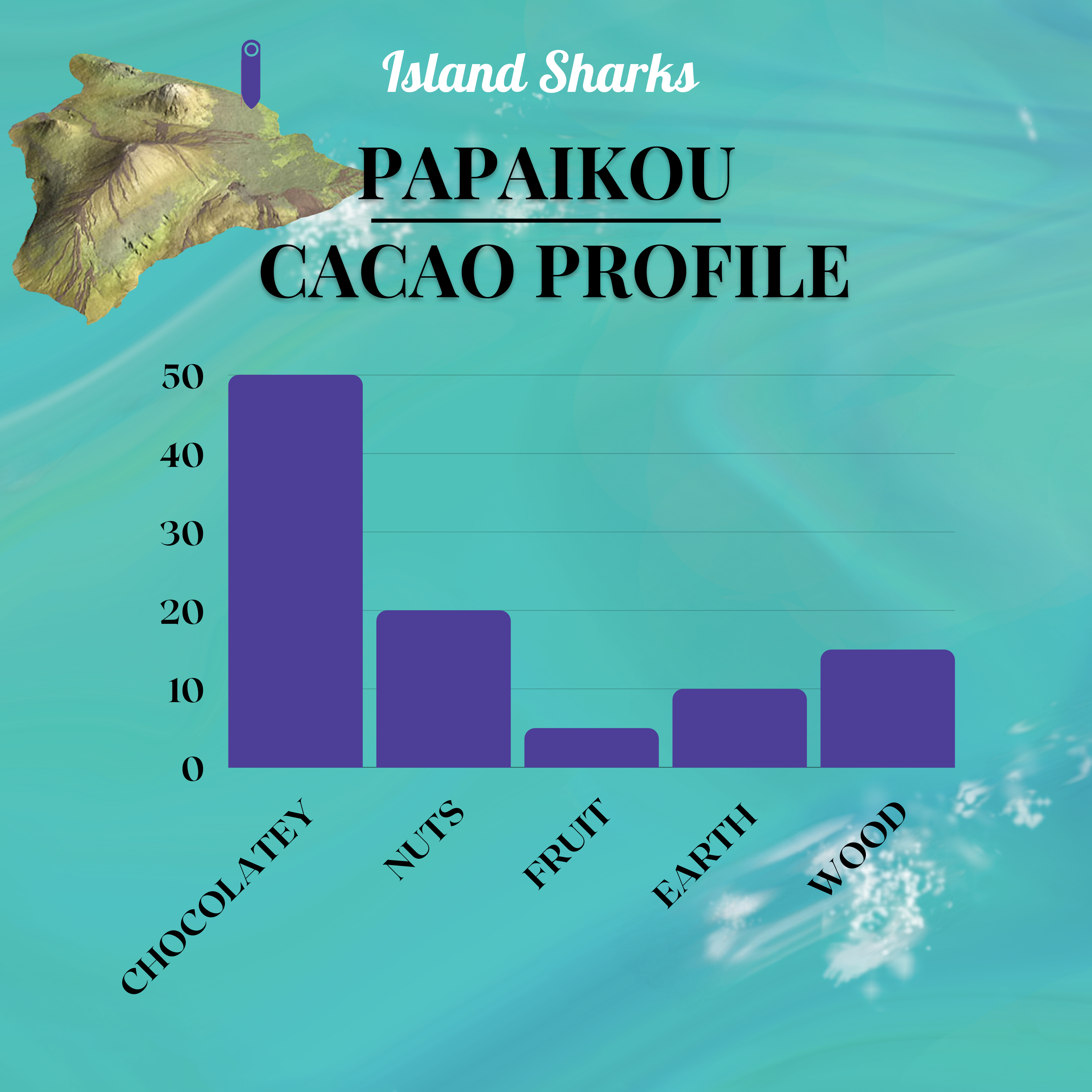 100% Hawaiian Ceremonial Cacao-13